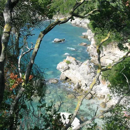 Shambala Liapádesz